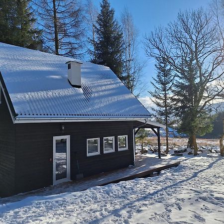 Domek Dorota Z Widokiem Na Gory Lasowka 5Km Do Zieleniec Ski Arena Zewnętrze zdjęcie